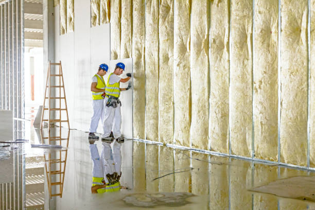 Best Energy Efficiency Insulation in Mountain City, GA